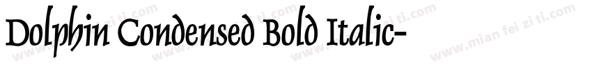 Dolphin Condensed Bold Italic字体转换